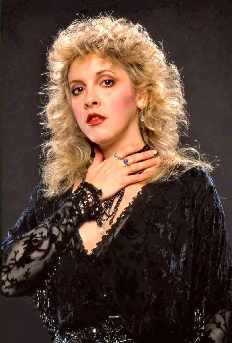 Vintage Stevie Nicks Singer Classic Portrait Poster Canvas Painting Wall Art Pictures Retro Room Home Bar 6 - Stevie Nicks Shop